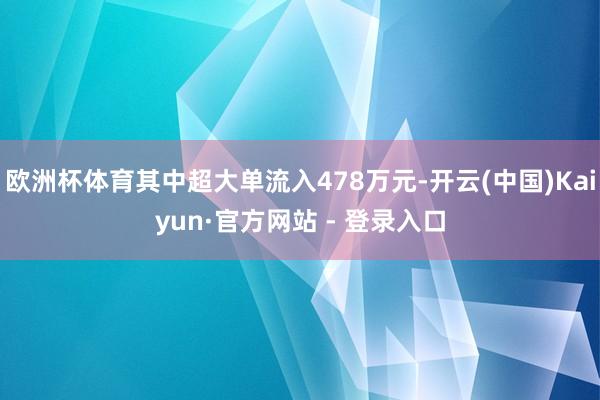 欧洲杯体育其中超大单流入478万元-开云(中国)Kaiyun·官方网站 - 登录入口