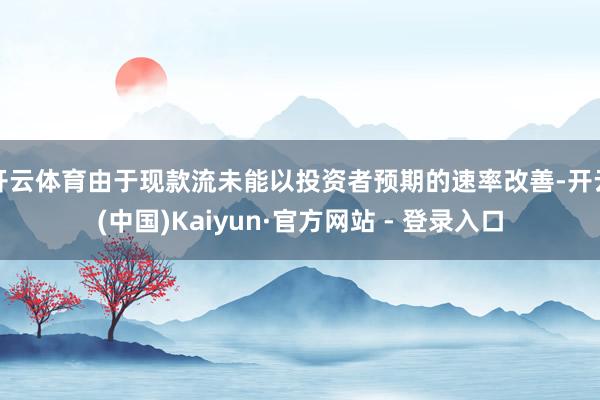 开云体育由于现款流未能以投资者预期的速率改善-开云(中国)Kaiyun·官方网站 - 登录入口