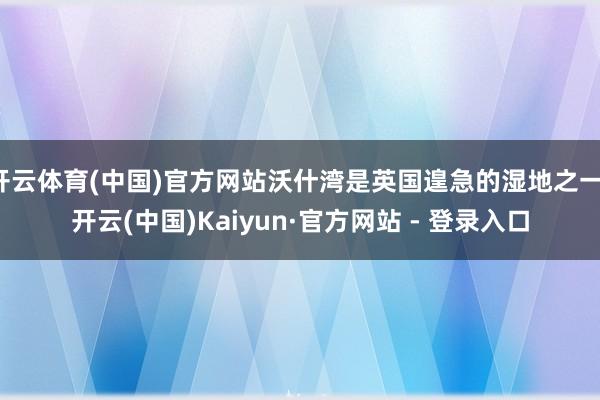 开云体育(中国)官方网站沃什湾是英国遑急的湿地之一-开云(中国)Kaiyun·官方网站 - 登录入口